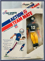 Pittsburgh Steelers from Action Team Mate - Basic Series manufactured by Pro Sports Marketing [Front]