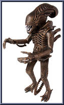 Alien Warrior Action Figure