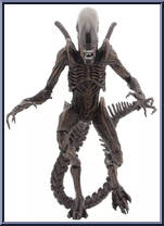 Xenomorph Warrior Action Figure