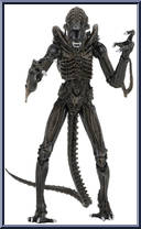 Alien Warrior (Brown) from Aliens - Ultimate Collection manufactured by Neca [Loose]