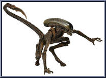 Dog Alien Action Figure