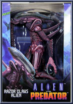 Razor Claws Alien from Alien vs Predator Arcade - Basic Series manufactured by Neca [Front]