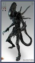Alien Warrior from Alien vs Predator - Alien vs Predator: Requiem manufactured by Hot Toys [Loose]