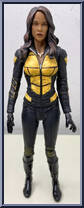 Vixen Action Figure