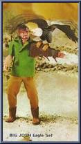 Big Josh: Eagle Set Action Figure