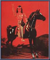 Horse: Pinto (Indian) from Big Jim - Old West Accessories manufactured by Mattel [Loose]