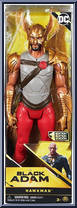 Hawkman from Black Adam - 12" Scale manufactured by Spinmaster [Front]