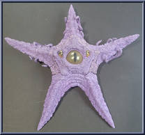 Starro the Conqueror [Build-A-Figure] Action Figure