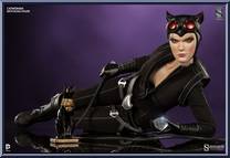 Catwoman from DC - Basic Series manufactured by Sideshow [Loose]
