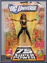 Cheetah (Modern) (Black Unitard) from DC Universe Classics - Wave 13 manufactured by Mattel [Front]