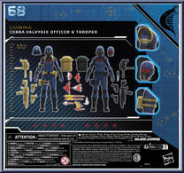Cobra Valkyries from G.I. Joe - Classified - Basic Series manufactured by Hasbro [Back]