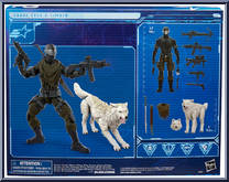 Snake Eyes & Timber from G.I. Joe - Classified - Basic Series manufactured by Hasbro [Back]