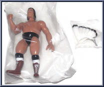 Chief Jay Strongbow from Legends of Professional Wrestling - Series 17 manufactured by Figures Toy Company [Front]