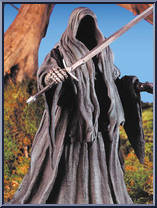 Witch King Ringwraith from Lord of the Rings - Fellowship of the Ring - Series 1 manufactured by Toy Biz [Loose]