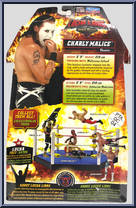 Charly Malice from Lucha Libre Masked Warriors - Basic Series manufactured by Playmates [Back]