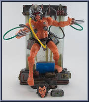 Weapon "X" Wolverine from Marvel Legends - Series  7 manufactured by Toy Biz [Loose]