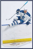 Owen Nolan Action Figure