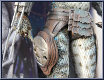 Warrior Predator from Predators - Quarter Scale manufactured by Neca [Loose]