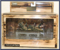 Ymir on Lab Table from Ray Harryhausen - Chess Set 6 manufactured by X-Plus [Front]