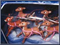 Santa's Sleigh & Reindeer Team from Rudolph - Action Figure Boxed Sets manufactured by Memory Lane [Front]