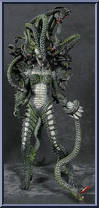 Medusa