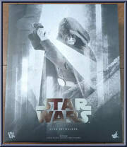 Luke Skywalker (Exclusive) from Star Wars - Mandalorian manufactured by Hot Toys [Back]