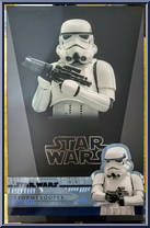 Stormtrooper Action Figure