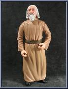 Master Chung from Warriors of Virtue - Basic Series manufactured by Play Em Toys [Loose]