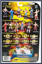 Spike Dudley from WWE Backlash - Series  6 manufactured by Jakks Pacific [Back]