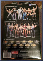 Randy Orton from WWE Deluxe Aggression - Series 10 manufactured by Jakks Pacific [Back]