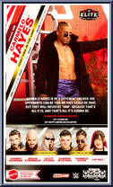 Carmelo Hayes from WWE Elite Collection - Series 105 manufactured by Mattel [Back]