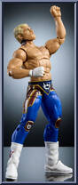 Cody Rhodes Action Figure