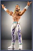Seth Rollins Action Figure