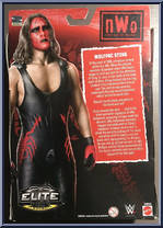 Sting (NWO Wolfpac) from WWE Elite Collection - Exclusives manufactured by Mattel [Back]