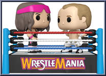 Bret "Hit Man" Hart and Shawn Michaels Action Figure