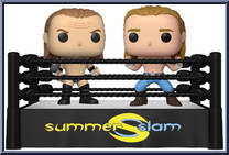 Triple H / Shawn Michaels Action Figure