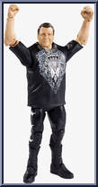 Jerry Lawler from WWE - Series  46 manufactured by Mattel [Loose]