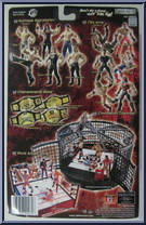 Ric Flair from WWE Pay Per View - Series  1 - Bad Blood manufactured by Jakks Pacific [Back]