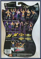 Triple H from WWE Pay Per View - Series  8 - New Years Revolution manufactured by Jakks Pacific [Back]
