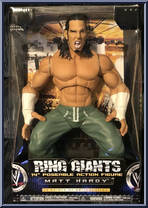 Matt Hardy Action Figure