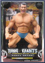 Randy Orton Action Figure