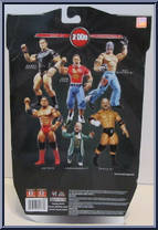 Randy Orton from WWE Ruthless Aggression - Best of 2009 manufactured by Jakks Pacific [Back]