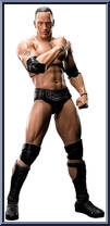 Rock from WWE S.H. Figuarts - Basic Series manufactured by Bandai [Loose]