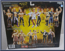 Randy Orton / John Cena / Triple H from WWE Treacherous Trios - Series  8 manufactured by Jakks Pacific [Back]