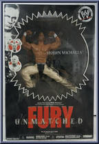 Shawn Michaels Action Figure