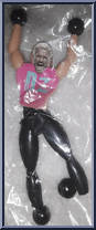 Dolph Ziggler from WWE Wall Walkers - Superstar manufactured by Forever Clever [Loose]