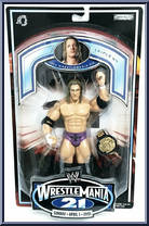 Triple H from WWE WrestleMania 21 - Basic Series manufactured by Jakks Pacific [Front]