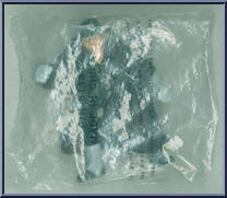 Undertaker (Brown Hair) from WWF - WWF Magazine Mail Order manufactured by Hasbro [Front]