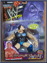 Ken Shamrock Action Figure
