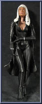 Storm Action Figure